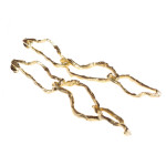 Fossili, orecchini, bronzo dorato